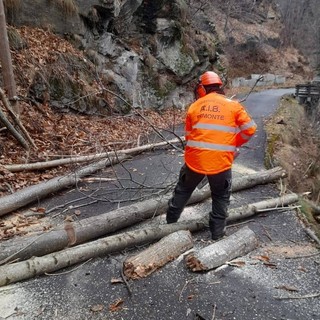 Quando i boschi cambiano e l’acqua fa paura: mezzo secolo di Aib e Protezione civile a Villar Pellice