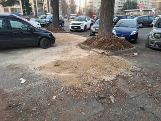 Foto generica d'archivio