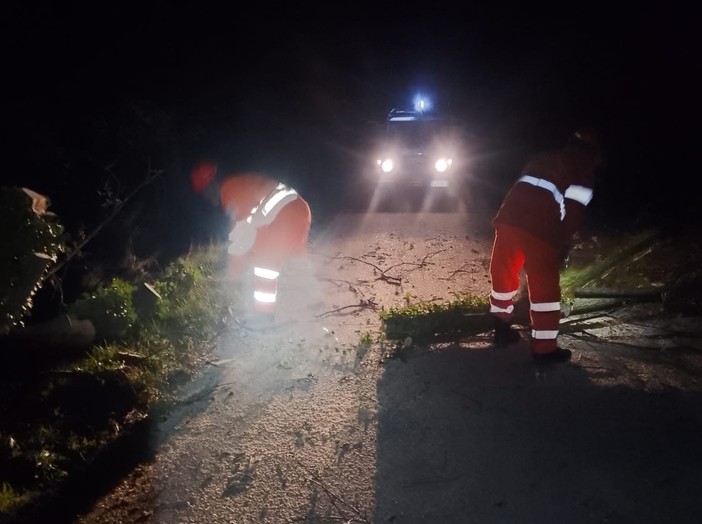Alberi e grossi rami sulle strade: Angrogna alle prese con l’emergenza Alberi e grossi rami sulle strade: Angrogna alle prese con l’emergenza