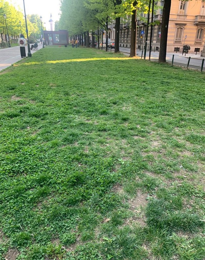 Il Centro avrà (forse) una nuova area cani, ora si aspetta solo l'avvio dei lavori