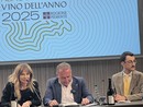 Alta Langa: una bollicina dai piccoli numeri ma di grande qualità vino dell’anno 2025