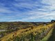 El Niño e il meteo in Piemonte, pensando ad autunno e inverno El Niño e il meteo in Piemonte, pensando ad autunno e inverno