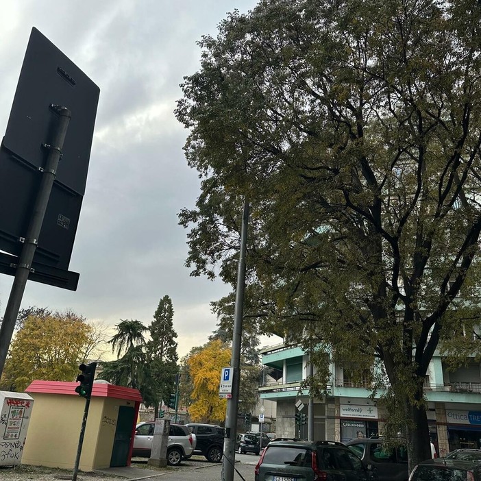 L'alberata di corso Svizzera