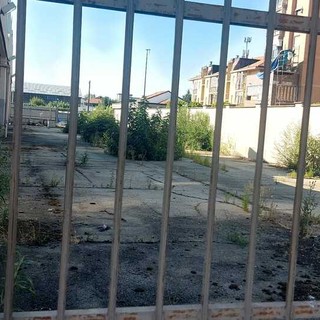 L'area Pepe