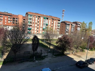 Chiude l'area cani di via Pinchia Chiude l'area cani di via Pinchia