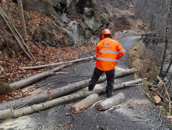 Quando i boschi cambiano e l’acqua fa paura: mezzo secolo di Aib e Protezione civile a Villar Pellice