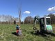 Nuovi alberi messi a dimora alla Quattro