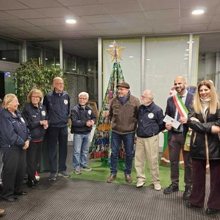 Torna l'albero di Natale degli Ecovolontari di Collegno Torna l'albero di Natale degli Ecovolontari di Collegno