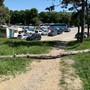 L'albero caduto vicino al piazzale