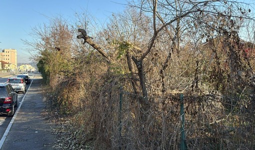 Area abbandonata davanti al parco Le Vele: “Da 3 anni chiediamo interventi”