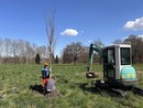 Nuovi alberi messi a dimora alla Quattro