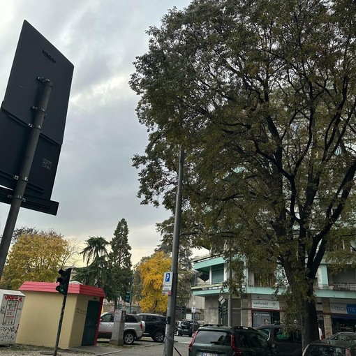 L'alberata di corso Svizzera