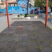 L'altalena sparita dal giardino L'altalena sparita dal giardino