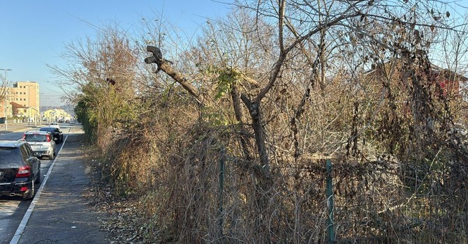 Area abbandonata davanti al parco Le Vele: “Da 3 anni chiediamo interventi”