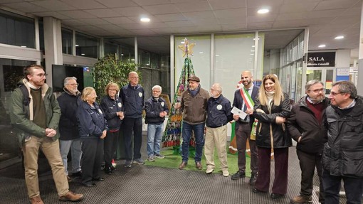 Torna l'albero di Natale degli Ecovolontari di Collegno Torna l'albero di Natale degli Ecovolontari di Collegno