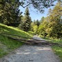 L'albero caduto lungo uno dei sentieri L'albero caduto lungo uno dei sentieri