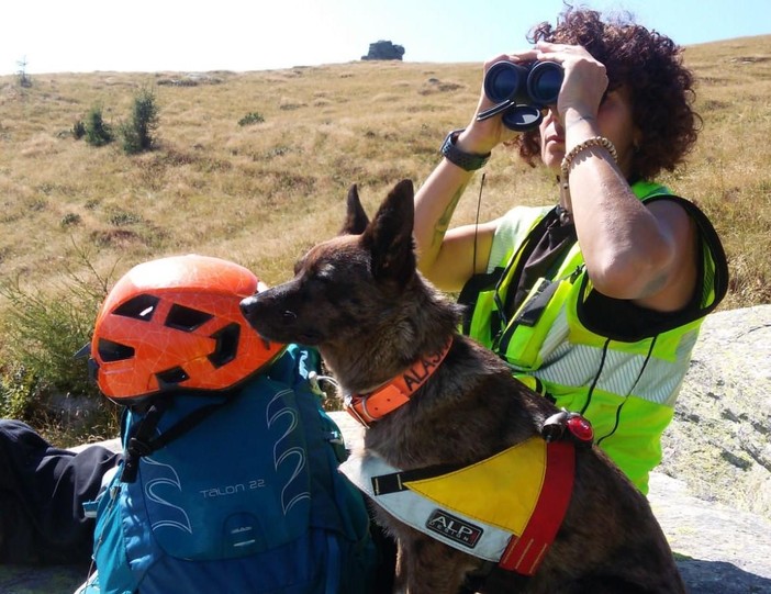 Alaska, il cane che ritrovò un anziano disperso, tra rovi e ortiche Alaska, il cane che ritrovò un anziano disperso, tra rovi e ortiche