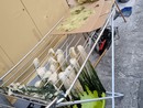 Lavoratori in nero ed alimenti senza etichette: 50mila euro di multa ai locali di San Salvario