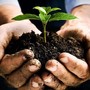 Confagricoltura Piemonte: &quot;Infortuni sul lavoro in calo. L'agricoltura in prima linea nella difesa dei suoi lavoratori”