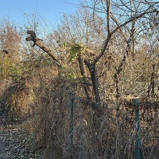 Area abbandonata davanti al parco Le Vele: “Da 3 anni chiediamo interventi”