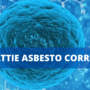 Amianto nel settore metalmeccanico: sentenza storica apre a nuove tutele previdenziali