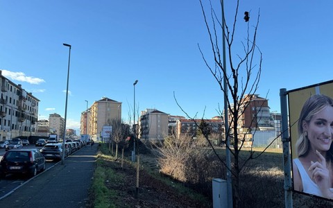 Via Oxilia