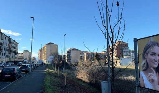 Via Oxilia