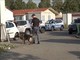 Blitz della polizia al campo rom di Mirafiori Blitz della polizia al campo rom di Mirafiori