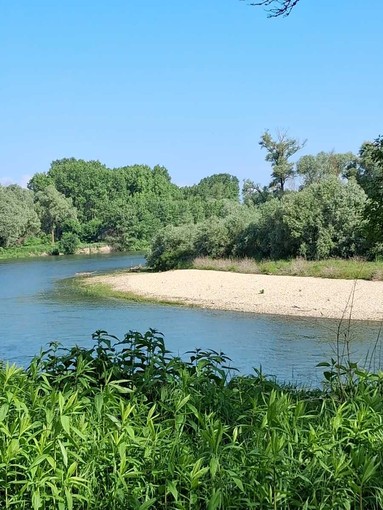 Il circuito "Sentiero Verde" esplora il bosco del Gerbasso di Carmagnola