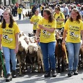 Vent’anni di Poujà: da stasera Bobbio Pellice celebra la salita agli alpeggi Vent’anni di Poujà: da stasera Bobbio Pellice celebra la salita agli alpeggi