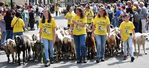 Vent’anni di Poujà: da stasera Bobbio Pellice celebra la salita agli alpeggi