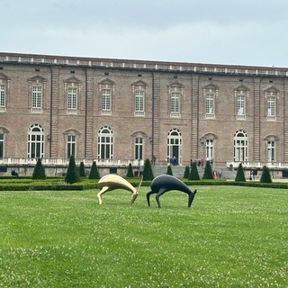 Il Bestiario di Luigi Mainolfi invade gli spazi della Reggia di Venaria
