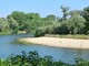 Il circuito "Sentiero Verde" esplora il bosco del Gerbasso di Carmagnola