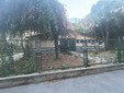 Ex scuola di via Baltimora 91, tagliate le erbacce