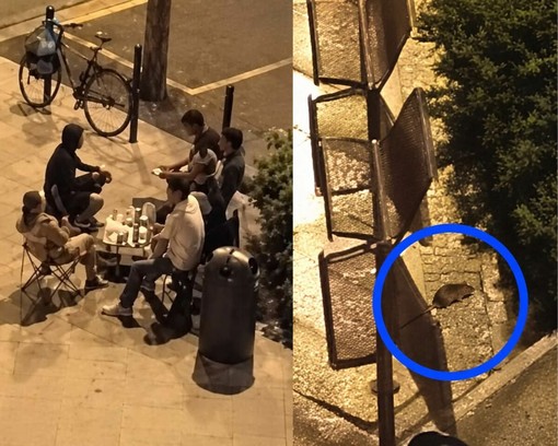Allarme per bivacchi e topi (a destra) in piazzetta San Secondo Allarme per bivacchi e topi (a destra) in piazzetta San Secondo