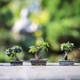 Aria di primavera a Cumiana per ‘Natura in festa’