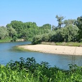 Il circuito "Sentiero Verde" esplora il bosco del Gerbasso di Carmagnola Il circuito "Sentiero Verde" esplora il bosco del Gerbasso di Carmagnola