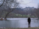 Oltre il giardino (Being There, 1979) di Hal Ashby