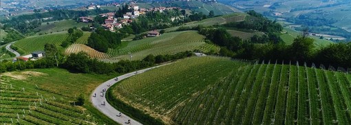 Gran Fondo Bra Bra Specialized: 2300 cuori in fuga sulle colline delle Langhe e Roero tra vino e arte (Video)