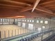 Una HitBall Arena nell’ex bocciodromo Trombetta, al via i cantieri