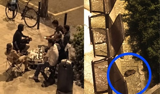 Allarme per bivacchi e topi (a destra) in piazzetta San Secondo Allarme per bivacchi e topi (a destra) in piazzetta San Secondo