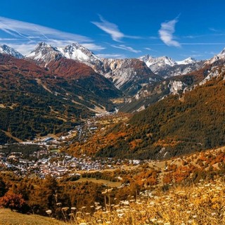 Il Comune di Bardonecchia per un progetto di ripristino della biodiversità e tutela faunistica Il Comune di Bardonecchia per un progetto di ripristino della biodiversità e tutela faunistica