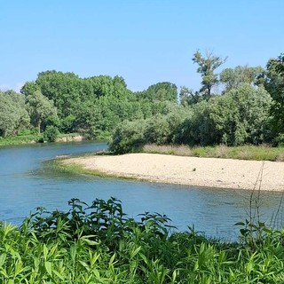 Il circuito "Sentiero Verde" esplora il bosco del Gerbasso di Carmagnola