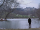 Oltre il giardino (Being There, 1979) di Hal Ashby