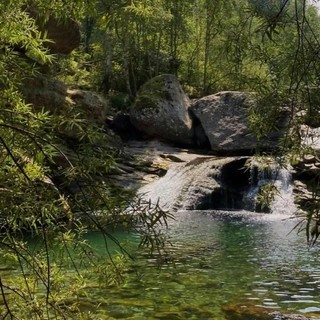 Il caldo spinge l’assalto ai tumpi: pioggia di multe per divieto di sosta