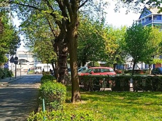 Allarme bocconi avvelenati a Mirafiori Sud