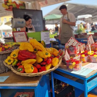 Carmagnola, il peperone diventa uno strumento musicale