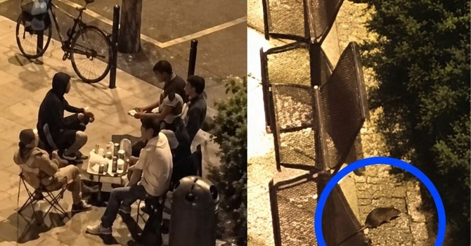 Allarme per bivacchi e topi (a destra) in piazzetta San Secondo