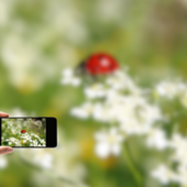 Il Museo Regionale di Scienze Naturali di Torino coordina il progetto locale