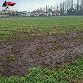 Intervento dei Carabinieri Forestali a La Loggia